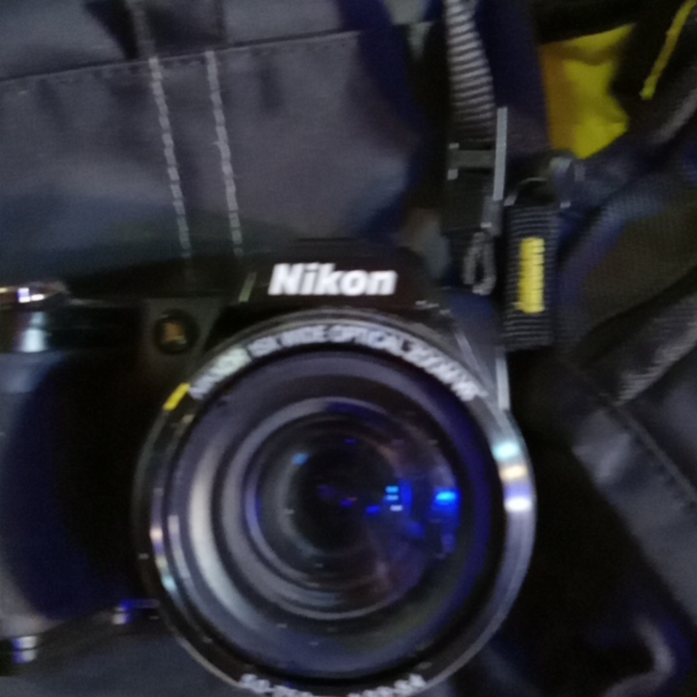 Nikkon coolplx L110